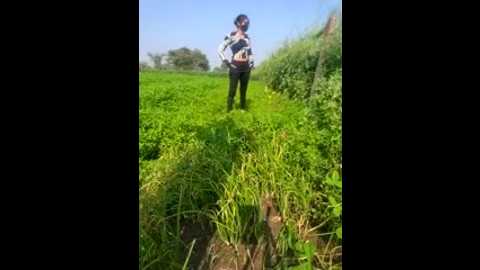 miss_riya23 @ stripchat on 20260112