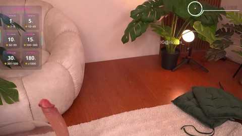 nicdani_1 @ stripchat on 20260112