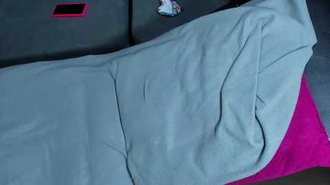 playsgirlhot @ stripchat on 20260112