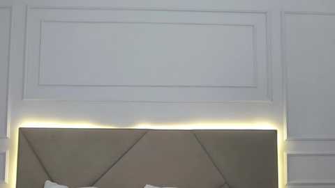 amelistark @ stripchat on 20260113