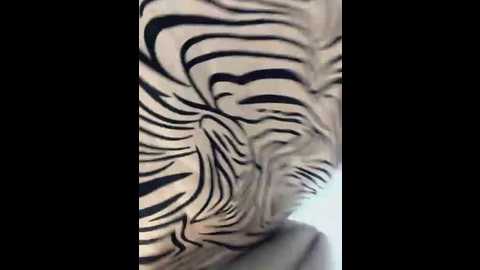 angelinateller @ stripchat on 20260113