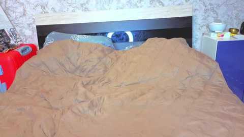 baiambel_mi @ stripchat on 20260113