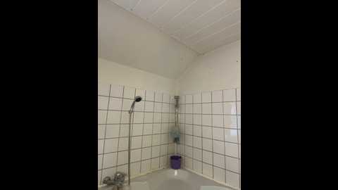 cc_uncensored @ stripchat on 20260113