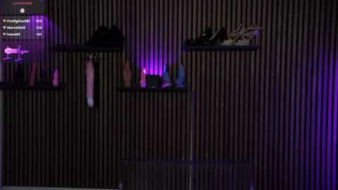 clarastylezz @ stripchat on 20260113