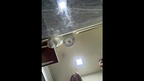 roouse @ stripchat on 20260113