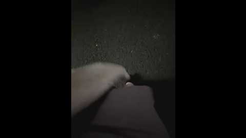 yourkeer @ stripchat on 20260113