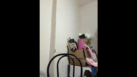 almmaxxxx @ stripchat on 20260114