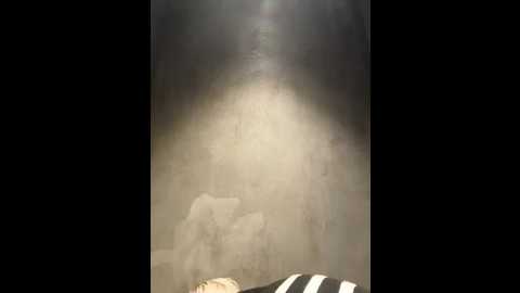 ashleymur @ stripchat on 20260114