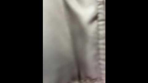 bambi_lu @ stripchat on 20260114