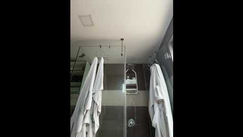 dani_bela @ stripchat on 20260114