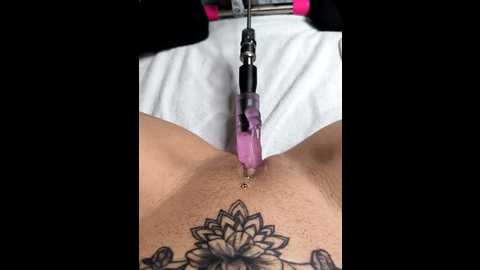 linalicious @ stripchat on 20260114