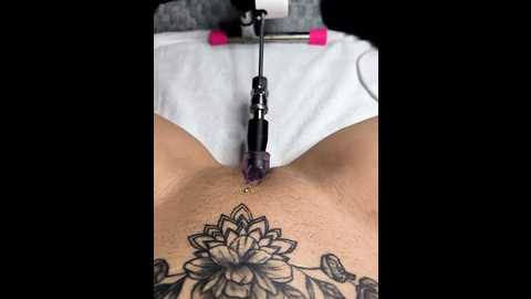 linalicious @ stripchat on 20260114