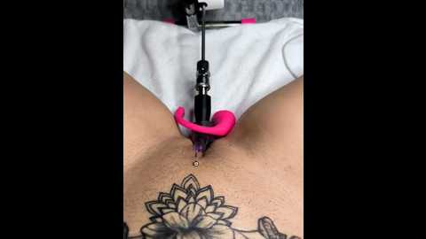 linalicious @ stripchat on 20260114