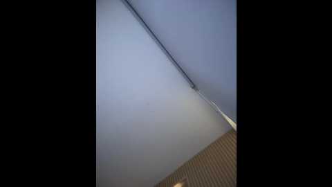 selenne_schmitt @ stripchat on 20260114