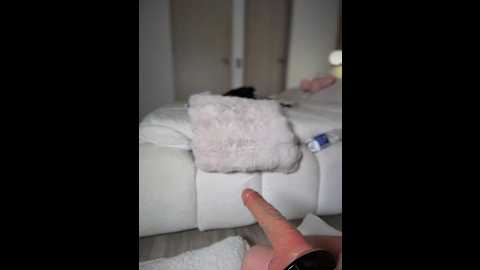 selenne_schmitt @ stripchat on 20260114