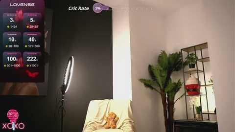 serenanoir @ stripchat on 20260114