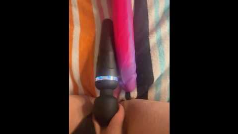 luisa1 @ stripchat on 20260115