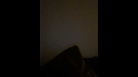 roci_ @ stripchat on 20260116