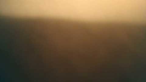 bellefleurrr @ stripchat on 20260117