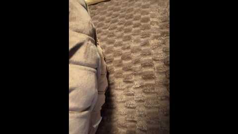 cutefatii @ stripchat on 20260117