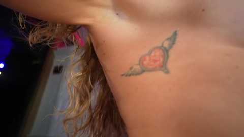 eva_fashionista @ stripchat on 20260117