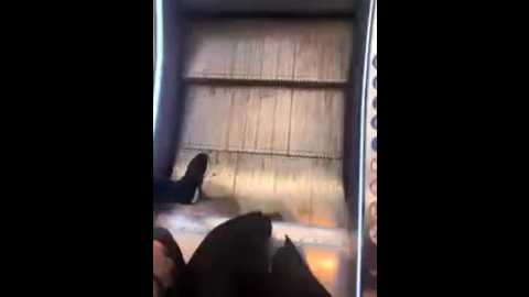 secret_couple_ @ stripchat on 20260117