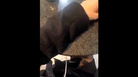 secret_couple_ @ stripchat on 20260117