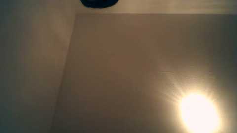 bellefleurrr @ stripchat on 20260118