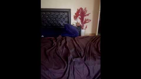 doctoor_maya @ stripchat on 20260118