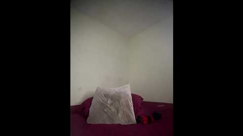 arabayla @ stripchat on 20260119