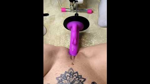 linalicious @ stripchat on 20260119