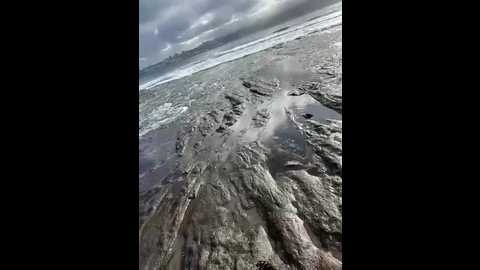 ninabigtitied @ stripchat on 20260119