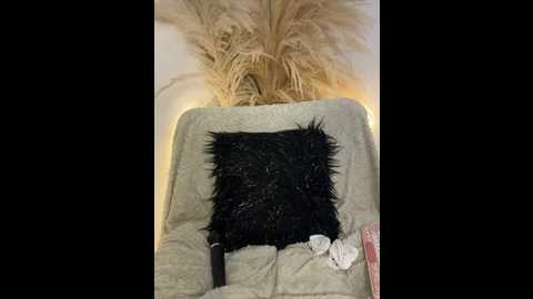 michell_sr @ stripchat on 20260120