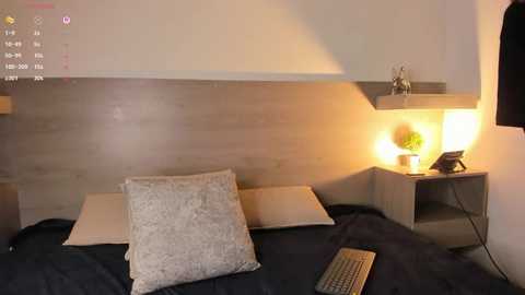 nabiii_ @ stripchat on 20260120