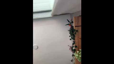 sugartroubl33 @ stripchat on 20260120