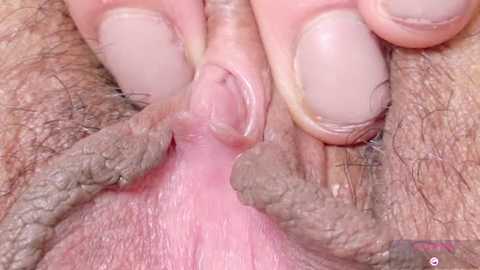 alu_ryu @ stripchat on 20260121