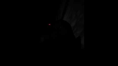 milly_kiss @ stripchat on 20260121