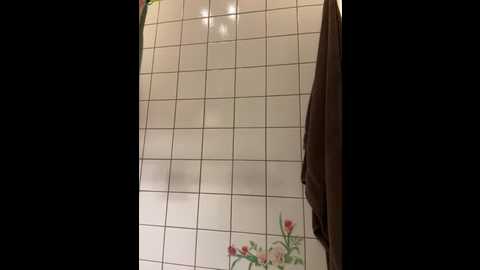 sexymelli18 @ stripchat on 20260121