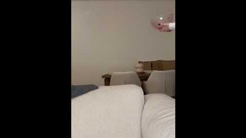 sophiiastarr @ stripchat on 20260121