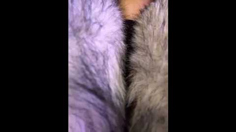 ashleymur @ stripchat on 20260122