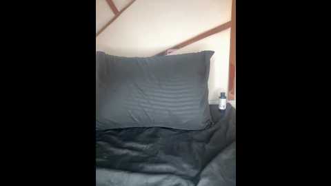 celeste_valencia_ @ stripchat on 20260122