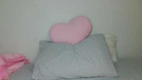 nurbby @ stripchat on 20260122