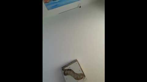 thecinderella @ stripchat on 20260122