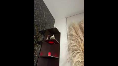 alexandra_duque @ stripchat on 20260123