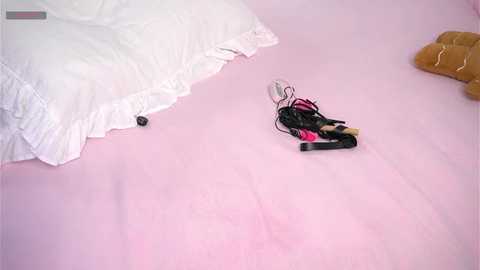 dawnacreman @ stripchat on 20260123