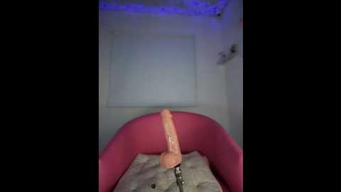 helen_vidall @ stripchat on 20260123