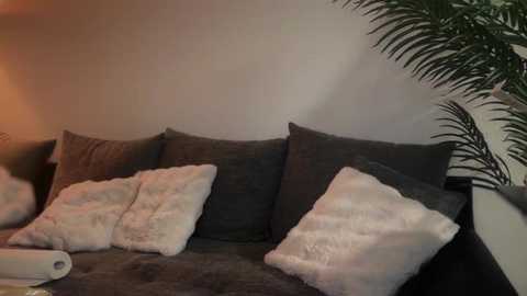 melina_diamond @ stripchat on 20260123