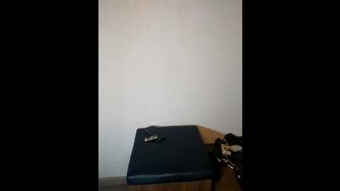 farawla_elgmda @ stripchat on 20260124