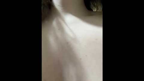 pantyless @ stripchat on 20260124