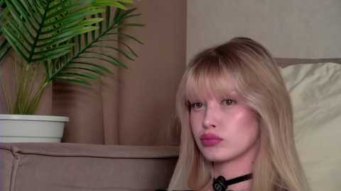 bellasecrettt @ stripchat on 20260125